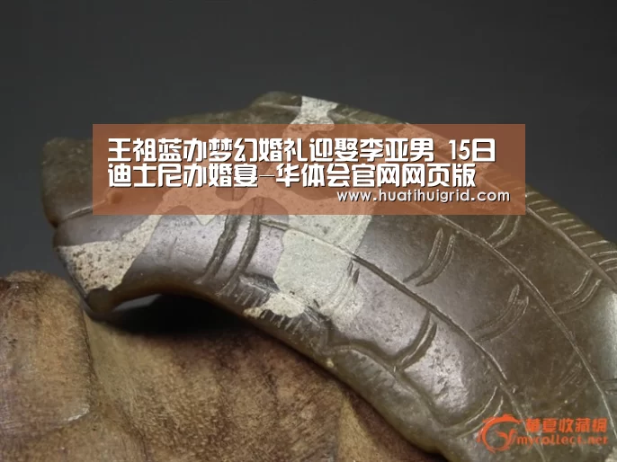 华体会官网网页版