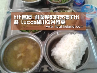 hth官网_谢霆锋张柏芝携子出游 Lucas和小Q兴致高(图4) 华体会官网网页版