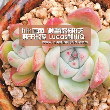 hth官网_谢霆锋张柏芝携子出游 Lucas和小Q兴致高(图1) hth官网_谢霆锋张柏芝携子出游 Lucas和小Q兴致高(图1)