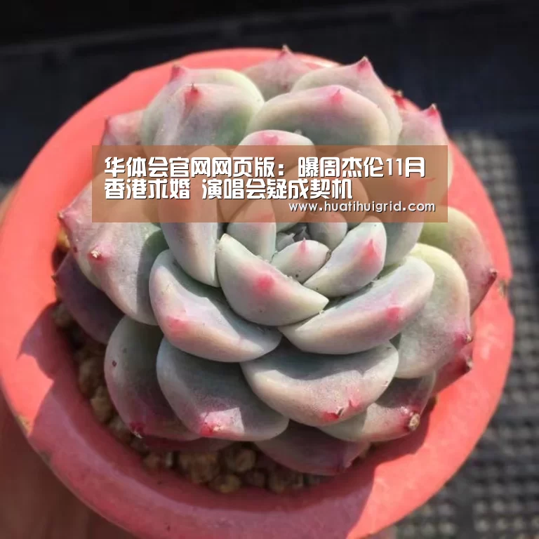 华体会官网网页版