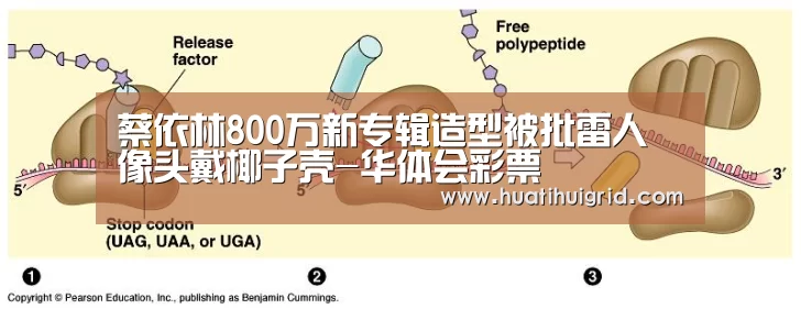 蔡依林800万新专辑造型被批雷人 像头戴椰子壳-华体会彩票(图2)