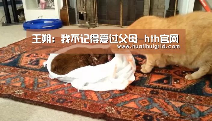 华体会彩票