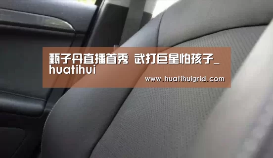 甄子丹直播首秀 武打巨星怕孩子_huatihui(图3) hth官网