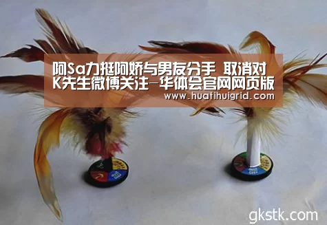 阿Sa力挺阿娇与男友分手 取消对K先生微博关注-华体会官网网页版(图2)